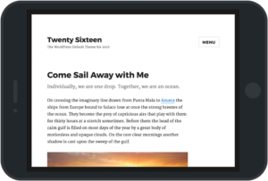 WordPress-Twenty-Sixteen-default-theme