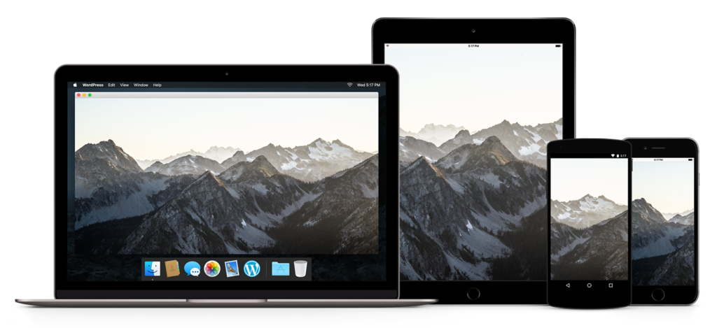 responsive-devices-ipad