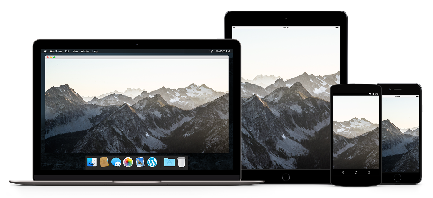 responsive-devices-ipad